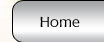 home button